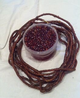 Лимонник дальневосточный на меду