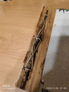 Фотоальбом из Тайланда