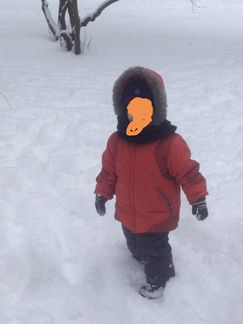 Зимний костюм