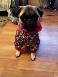 Комбинезон для маленькой собаки