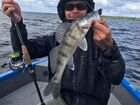 Рыбалка с гидом на Иваньковском водохранилище объявление продам