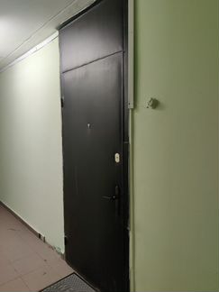 Дверь металлическая входная