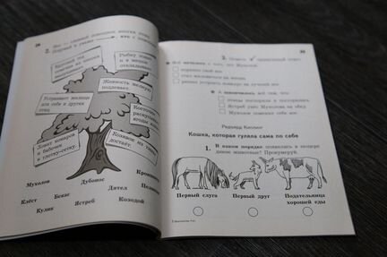Новый читательский дневник, Иду в 4 класс