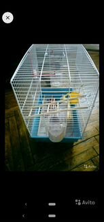 Клетка для птиц