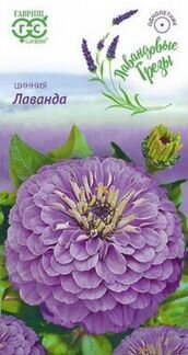 Рассада однолетников, цветочки, цинния